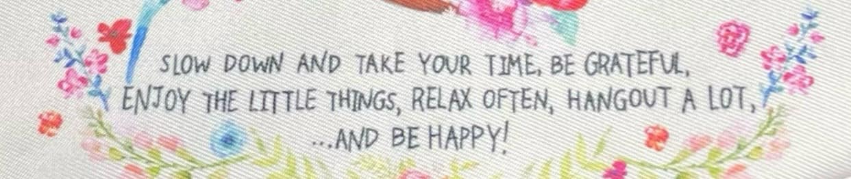 Inspirational quote from 'Advice from a Sloth' makeup bag: Slow down, be grateful, enjoy little things.