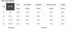 PATCHWORK POETRY TOP size chart showing bust, hem width, shoulder, sleeve length, and length measurements.