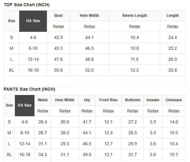 WILD WHISPER 2 PIECE SET size chart with measurements for tops and pants in inches.