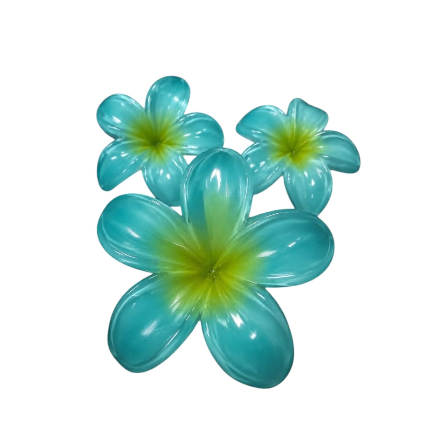 HAWAIIAN BREEZE HAIR CLIPS – Teal Tiger Boutique