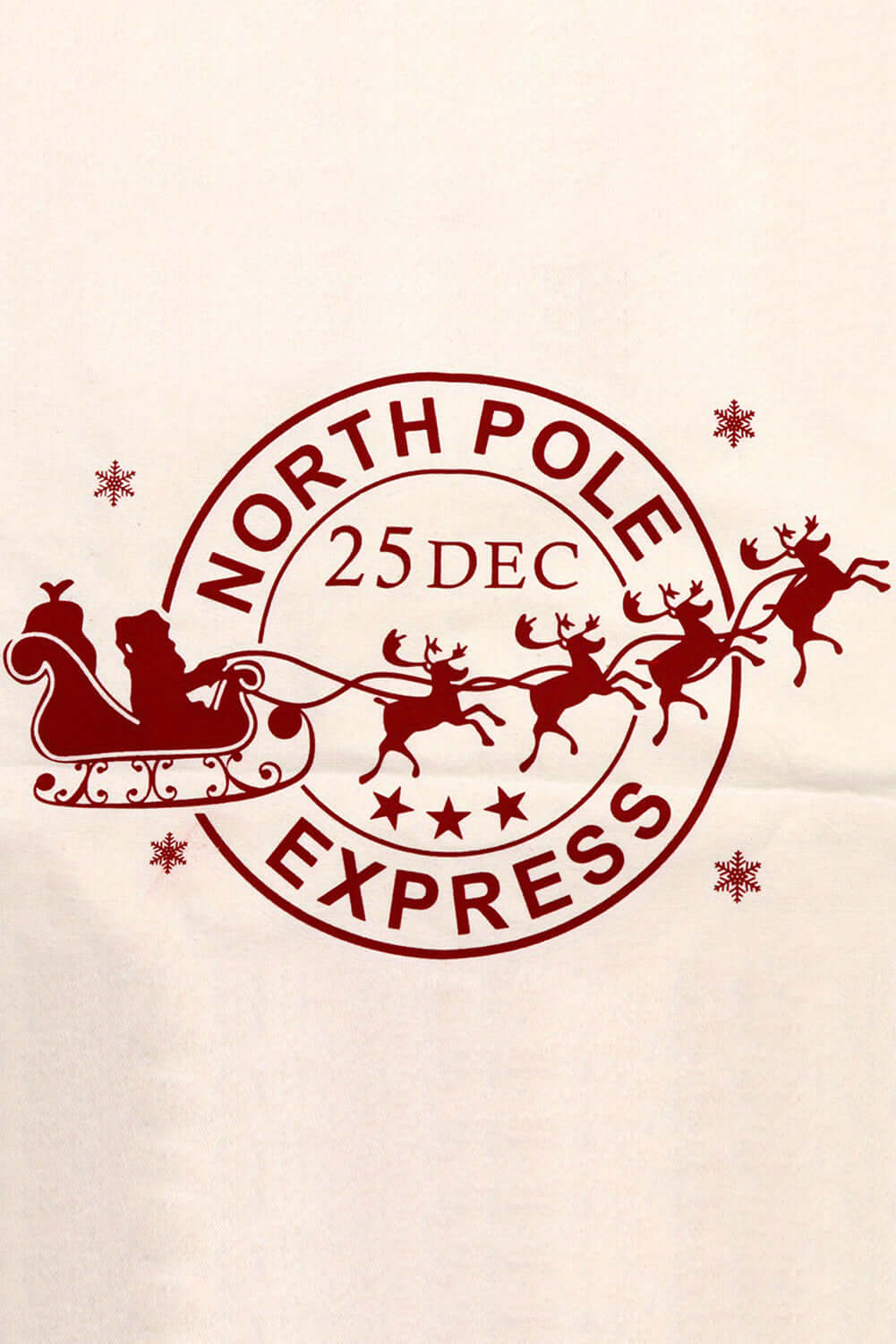 North Pole Express Christmas design featuring Santa in a sleigh with reindeer, dated December 25. Festive holiday theme.