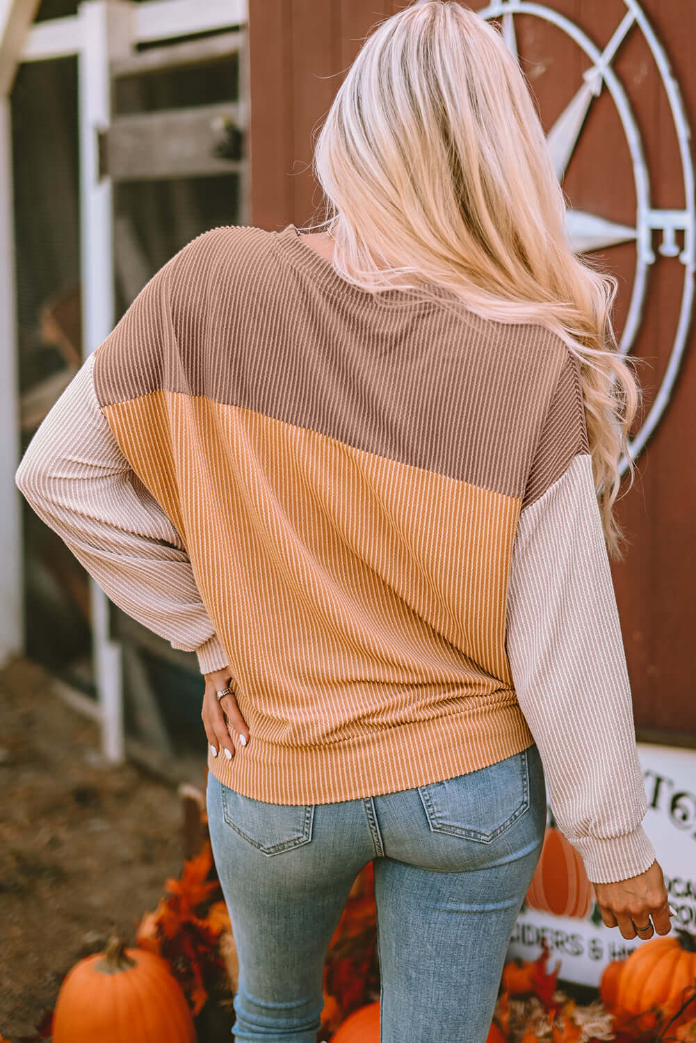 Woman wearing STANDOUT Color Block Top in taupe and tan with ribbed texture and jeans, standing near pumpkins and a rustic backdrop.