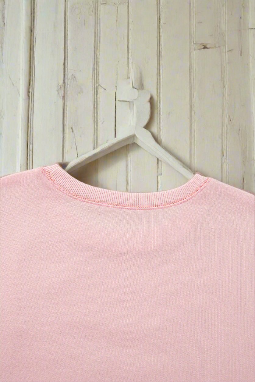 Light pink sweatshirt on a hanger against wooden background, featuring ribbed neckline detailing.